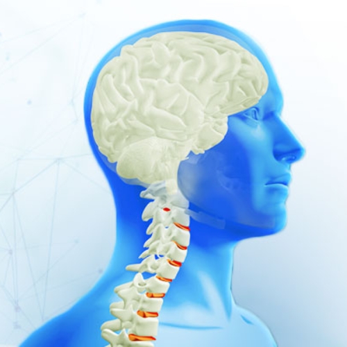 Brain and Spine Trauma Management and Surgery